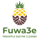 Fuwa3e